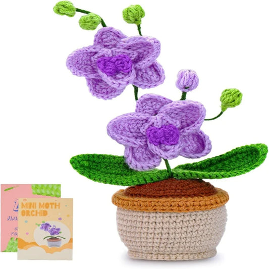 Moth Orchid Crochet Kit