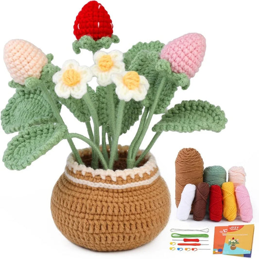 Strawberry Crochet Kit